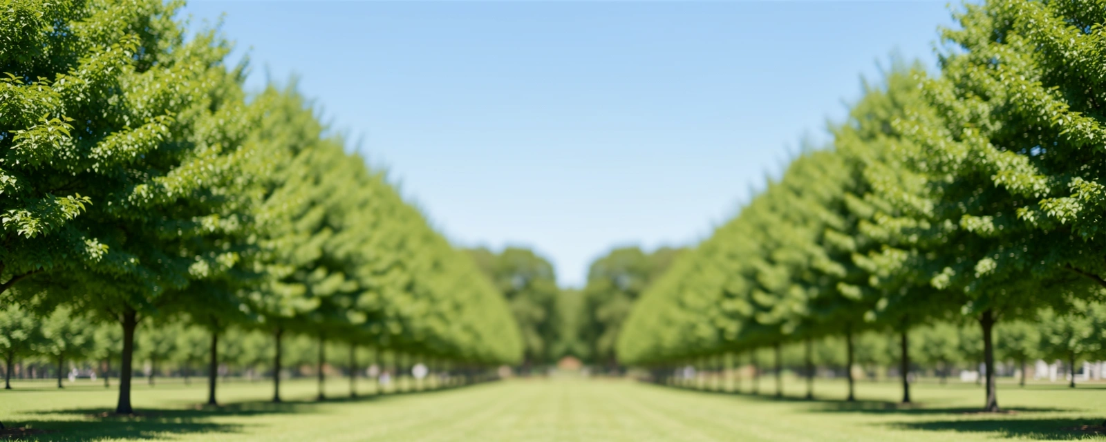 Fernsicht Training Natur